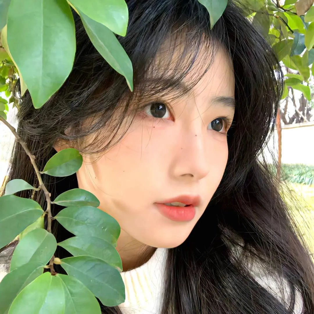 人生如戏